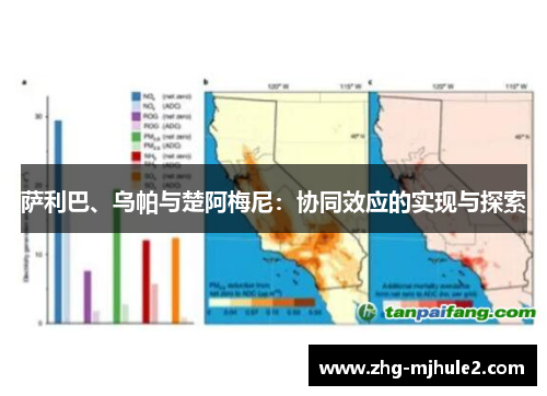 萨利巴、乌帕与楚阿梅尼：协同效应的实现与探索