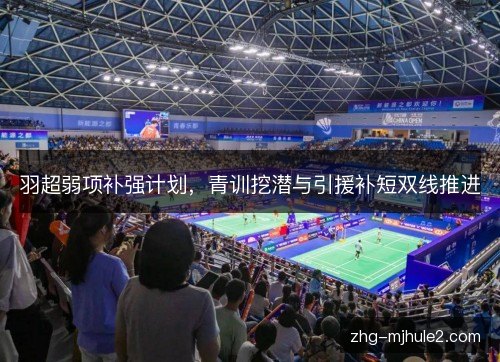 羽超弱项补强计划，青训挖潜与引援补短双线推进